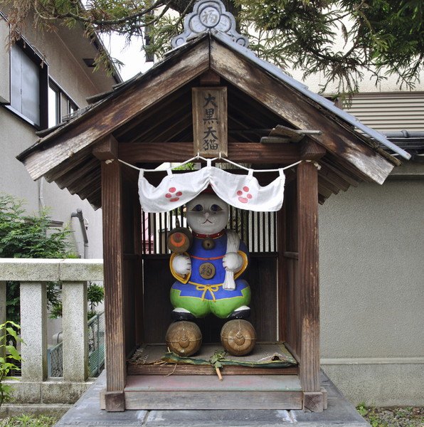 住吉神社の猫