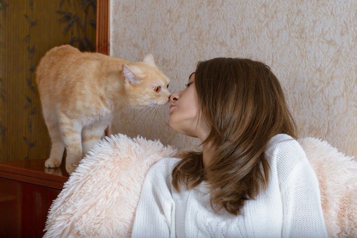 女性と鼻を合わせる猫