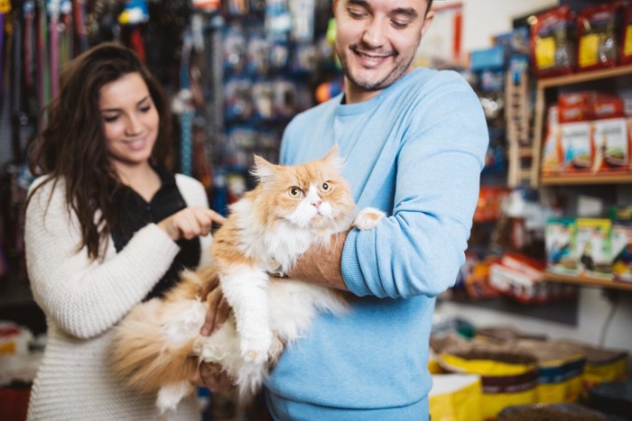 男性に抱きかかえられている猫とペットショップ店員