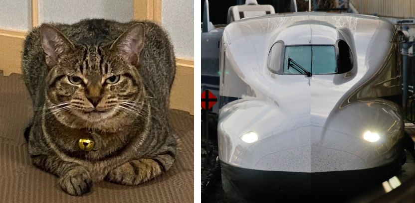 新幹線みたいな猫と新幹線の比較写真