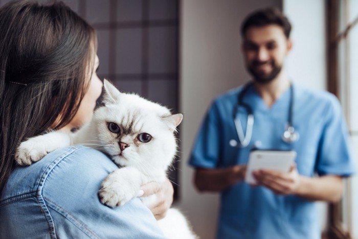 獣医師と飼い主に抱かれている猫