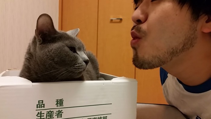 飼い主さんのキス顔をみる猫