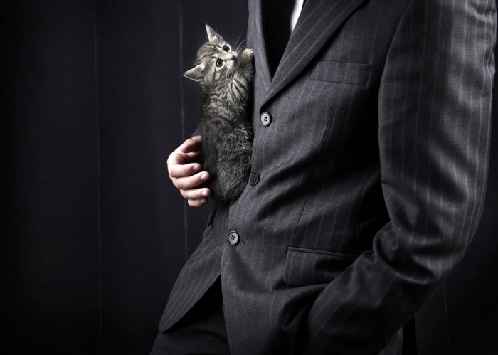 子猫を持ったスーツの男性