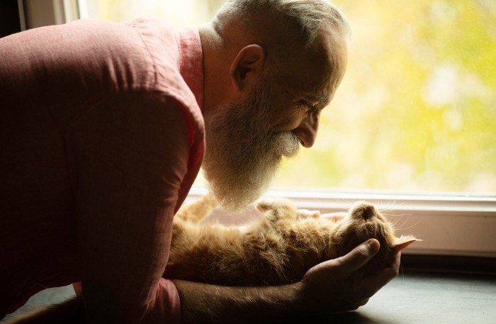 リラックスしている猫と老人