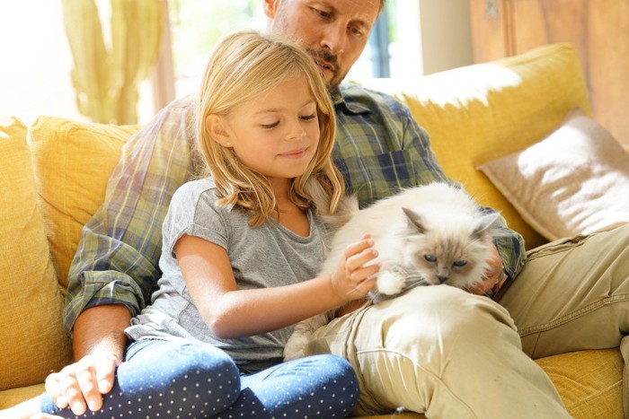 父親と少女に抱かれる猫