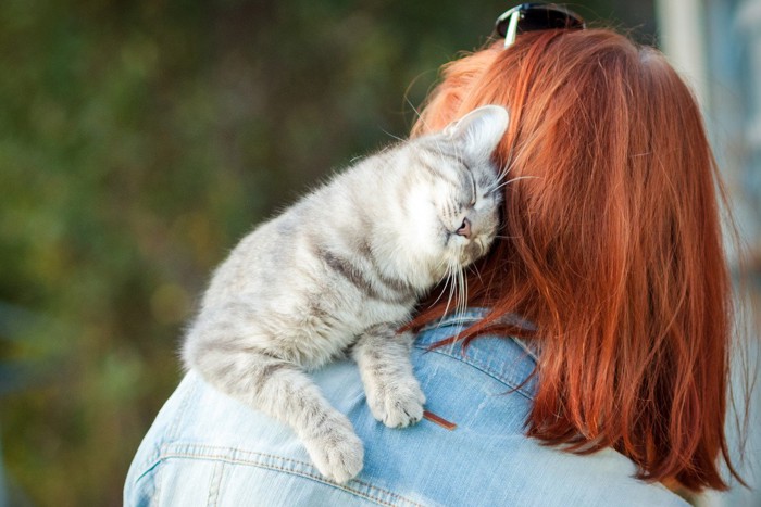 女性の肩に抱かれスリスリする猫