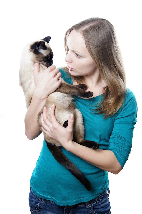 猫を抱いて叱っている女性