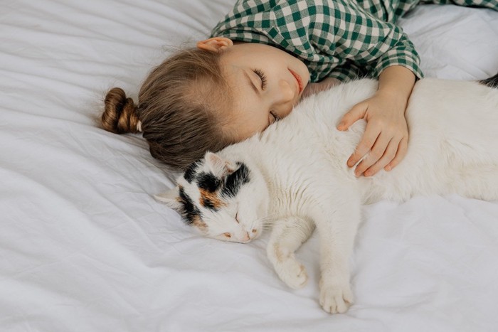 女児の脇で熟睡する猫