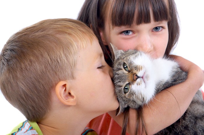 男の子と女の子に抱っこされている猫