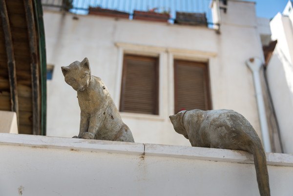 二匹の猫の彫刻