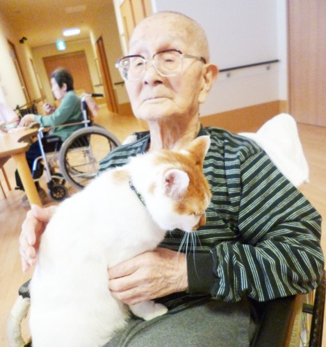 入居者のおじいさんに抱っこしてもらっている猫の太郎くん