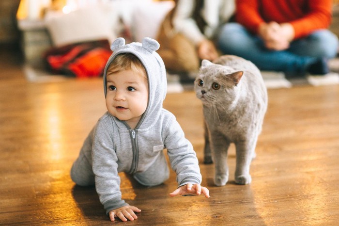 ハイハイする赤ちゃんと猫