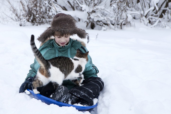 雪と子供と猫
