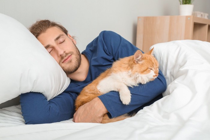 男性と寝る猫