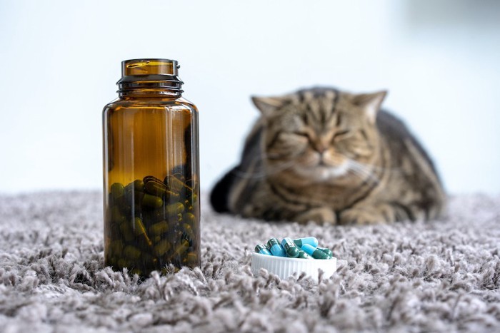 蓋のあいた薬瓶の後ろで眠る猫