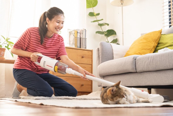 カーペットを掃除する女性とくつろぐ猫