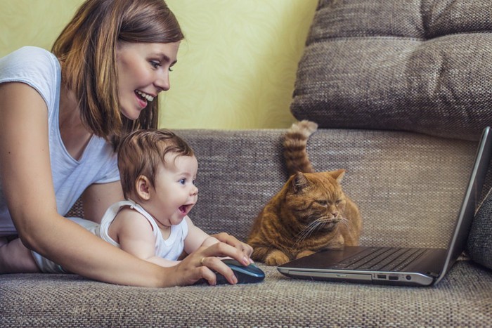パソコンをする親子と猫