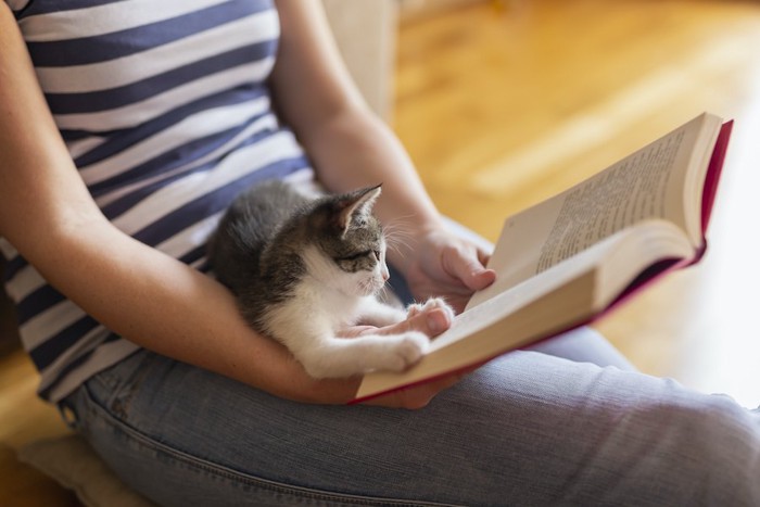 本を読む飼い主の膝に乗る猫