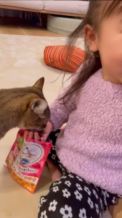 子供の手にある餌を食べる猫