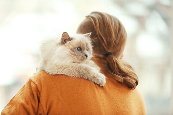 女性の肩に乗る猫