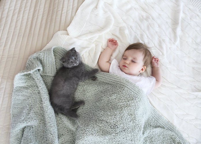 寝ている赤ちゃんの隣で横になる猫