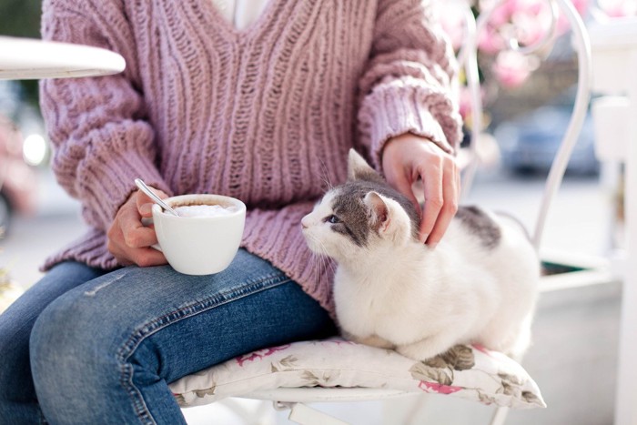 猫の横でコーヒーを飲む若い女性