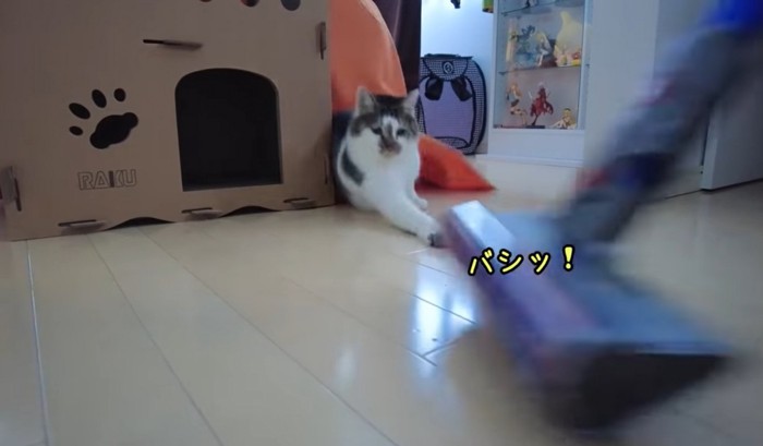掃除機に攻撃する猫