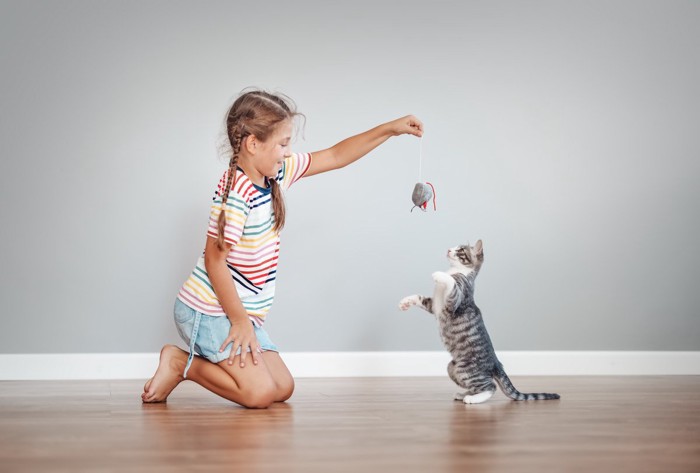 ねずみのおもちゃで遊ぶ猫と少女
