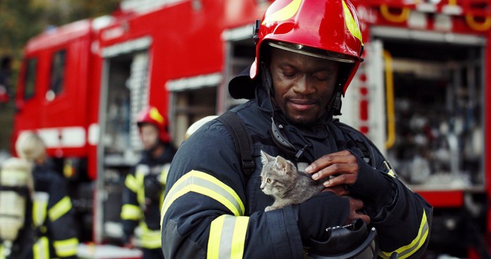 消防隊に助けられる猫