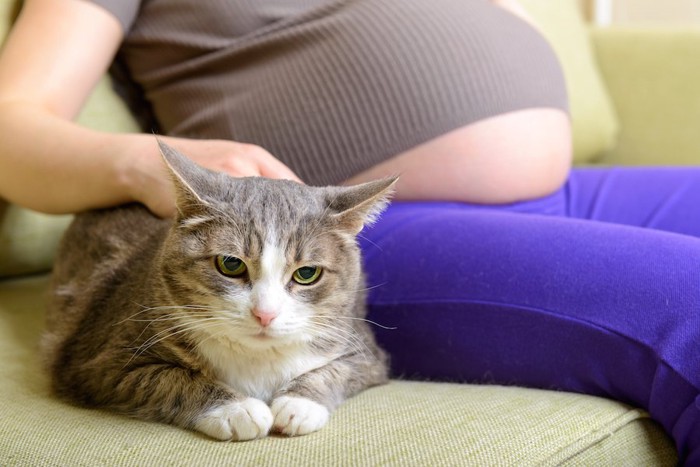 ソファーでくつろぐ妊婦さんと猫