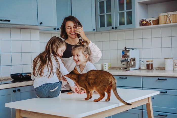 台所にいる親子と猫