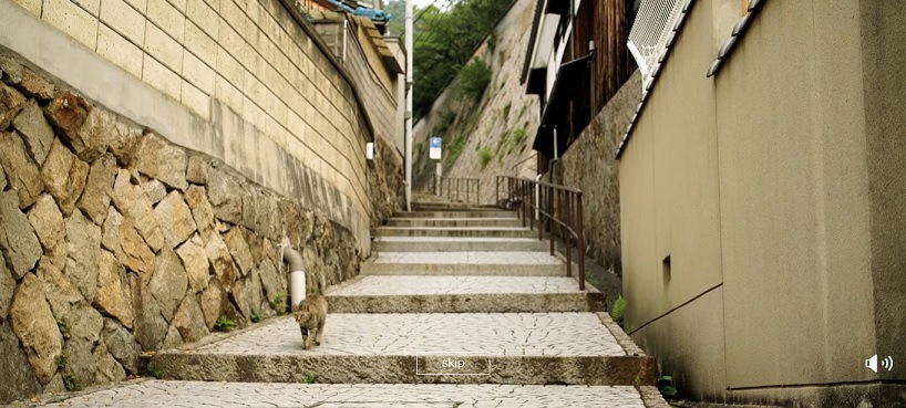 階段を下りてくる猫