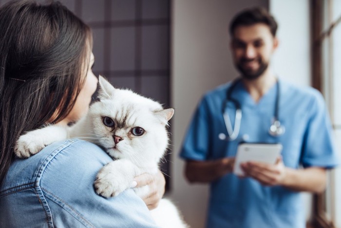 病院で女性に抱っこされる猫
