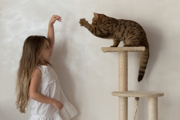 猫と遊ぶ女の子