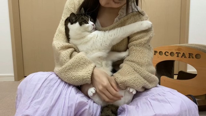 前足を伸ばして抱っこされる猫