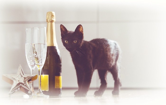 黒猫とワイングラス