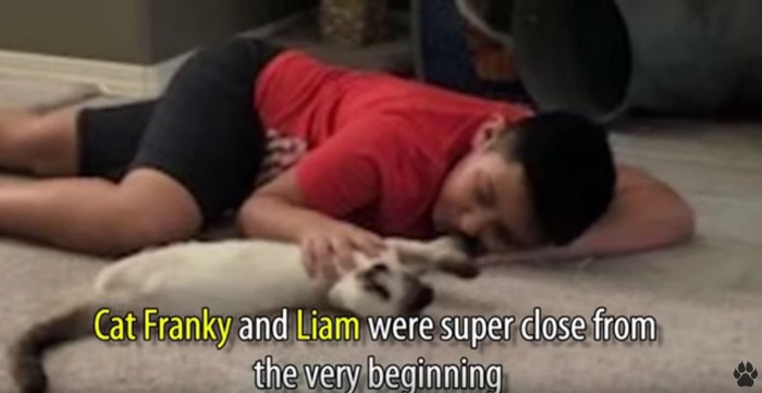 床に寝そべる少年とシャム猫