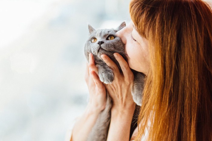 人にうつる病気かもしれないグレーの猫を抱き上げてキスをする女性