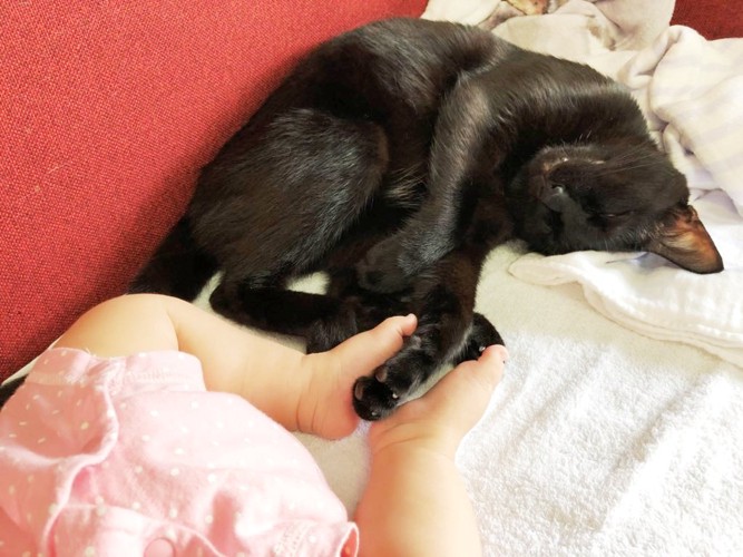 子守する黒猫と足をつなぐ赤ちゃん
