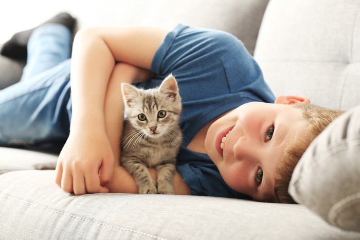 ソファーの上で子猫を抱く男の子