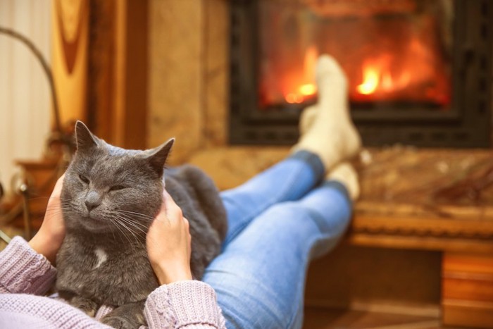 暖炉の前で女性に抱かれてくつろぐ猫