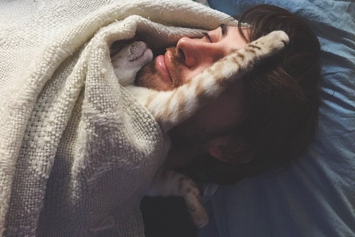 男性と一緒に寝る猫