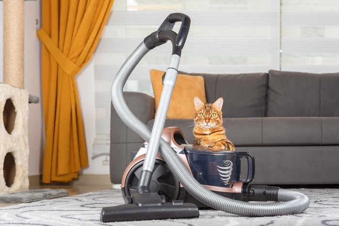 掃除機と猫