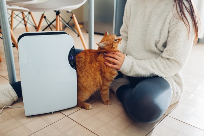 空気清浄機と猫