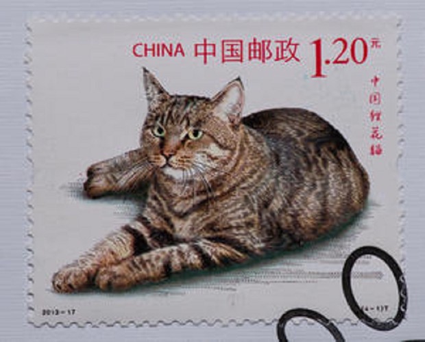 ドラゴンリー猫の切手