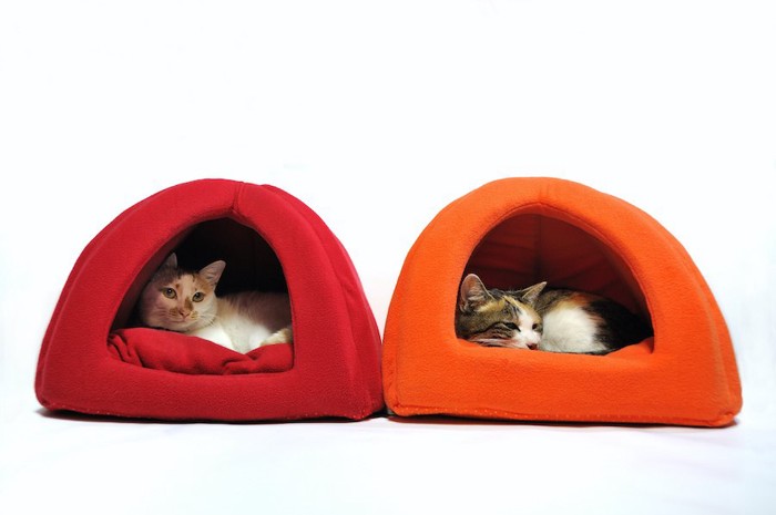 色違いのドーム型ベッドに入っている2匹の猫