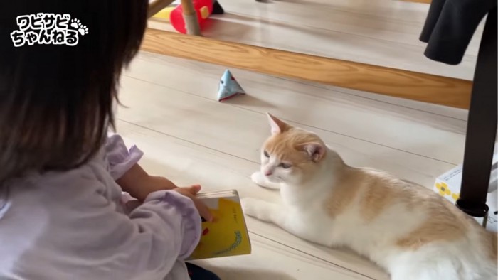 絵本を読む子供と猫