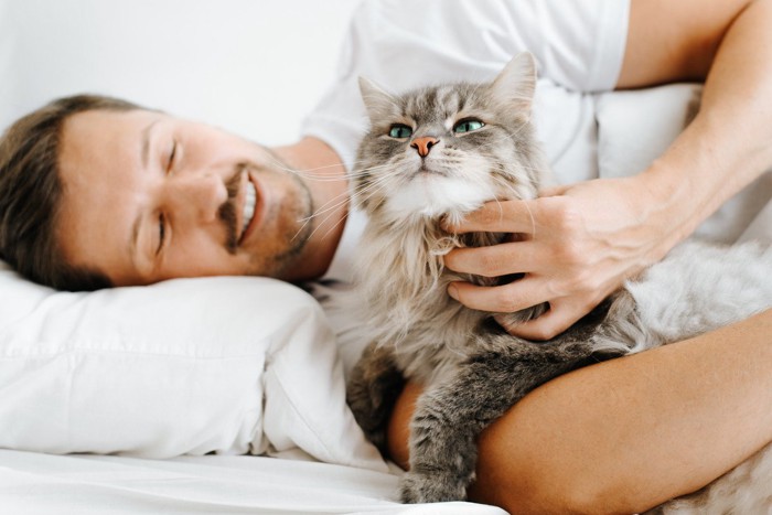 ベッドにいる男性を起こす猫