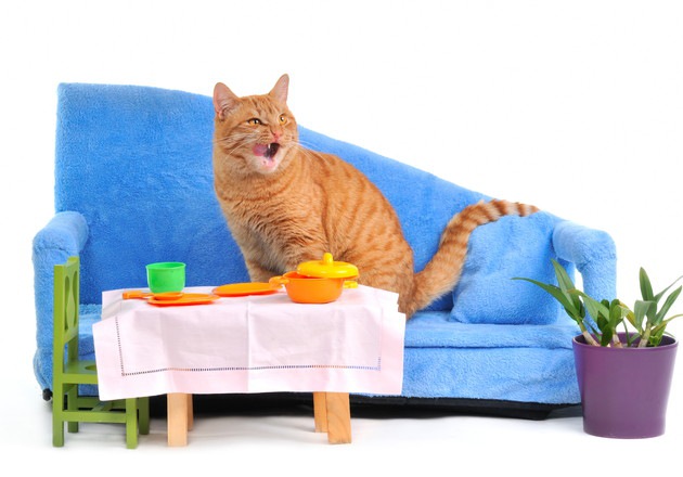 ミニチュアの家具に囲まれている猫