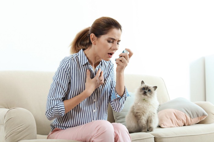 猫アレルギーで苦しそうな女性を見つめる猫